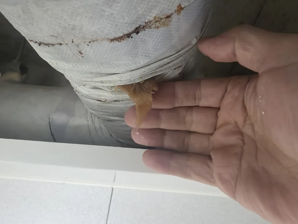 배관 손상 부분 확인